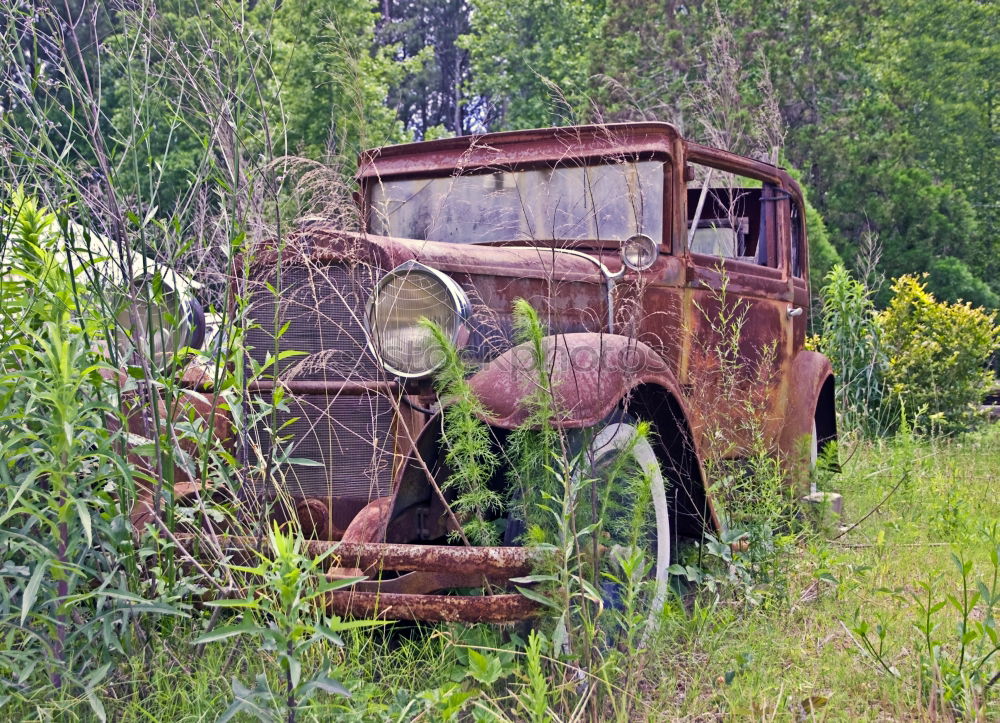 Similar – Image, Stock Photo Car cemetery 1 Environment