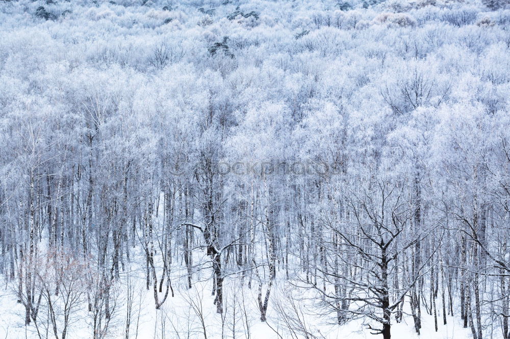 Similar – Image, Stock Photo snow at higher altitudes