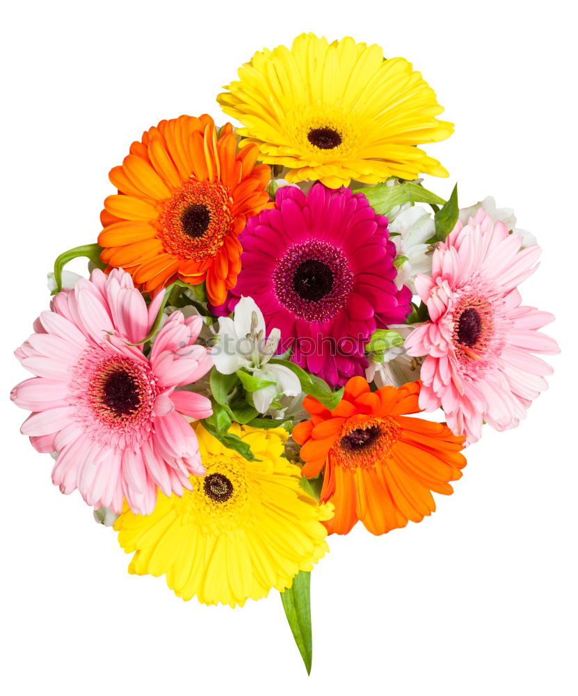 Similar – Image, Stock Photo Flower heart on wood Happy
