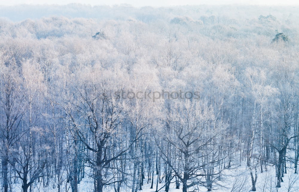 Similar – kurz vor innsbruck Winter