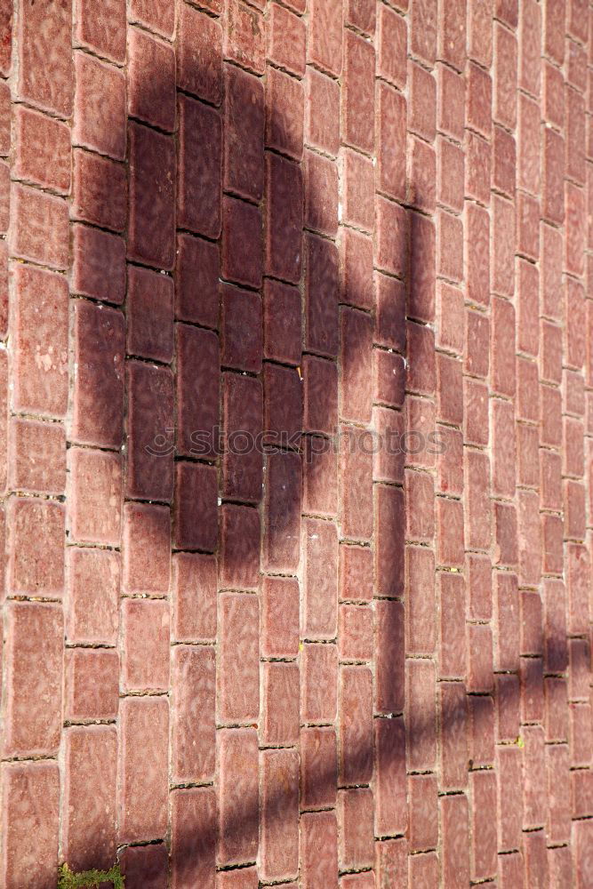 Similar – Shadow of a woman with hat on a wall