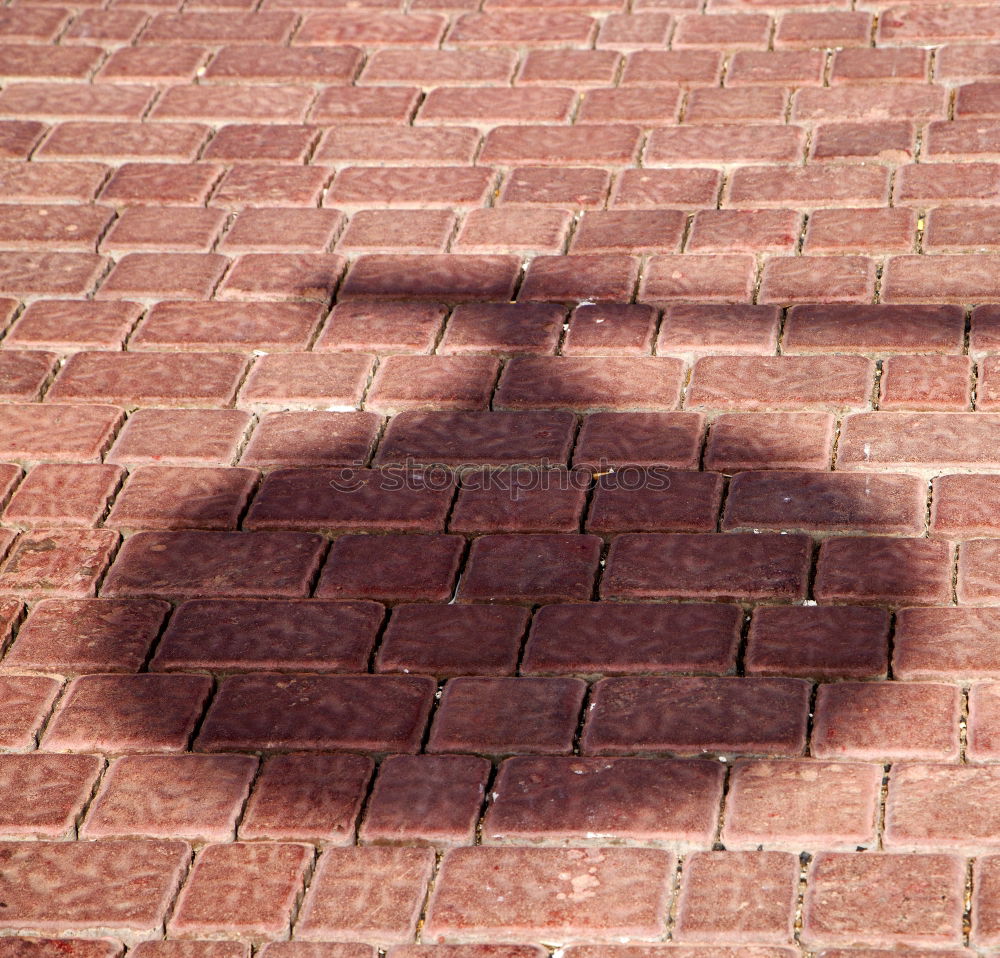 Similar – Shadow of a woman with hat on a wall