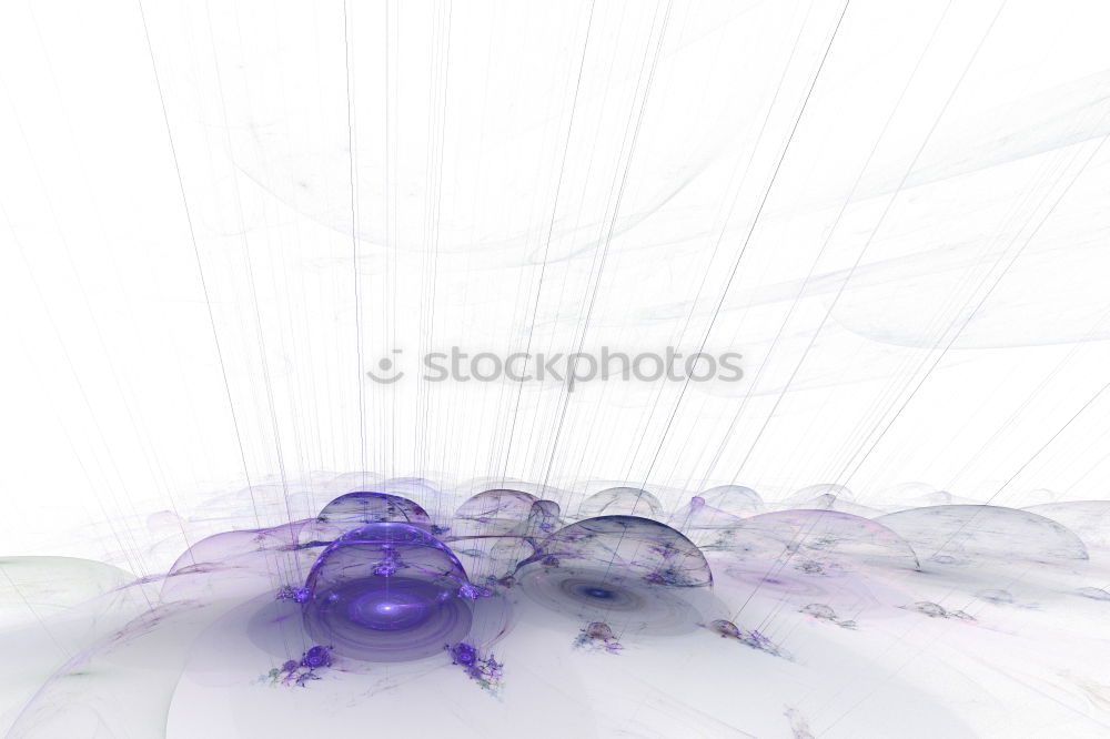 Similar – Image, Stock Photo Cornflower is about to bloom