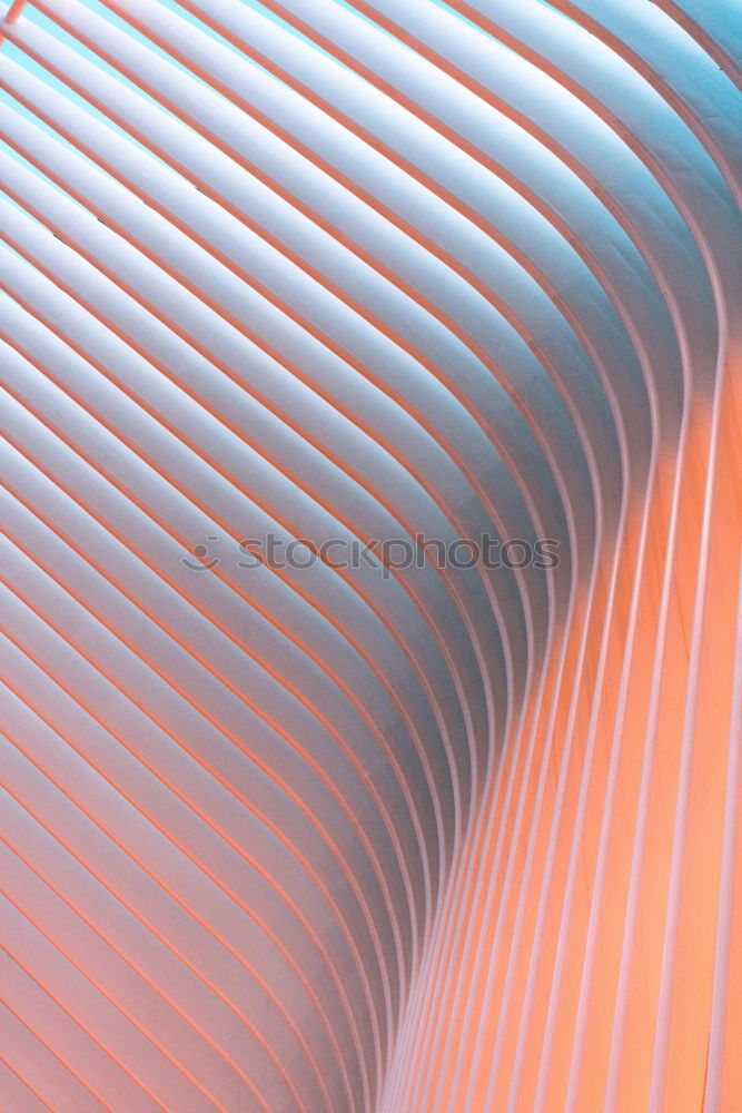 Similar – Image, Stock Photo The sun’s coming up! Woman