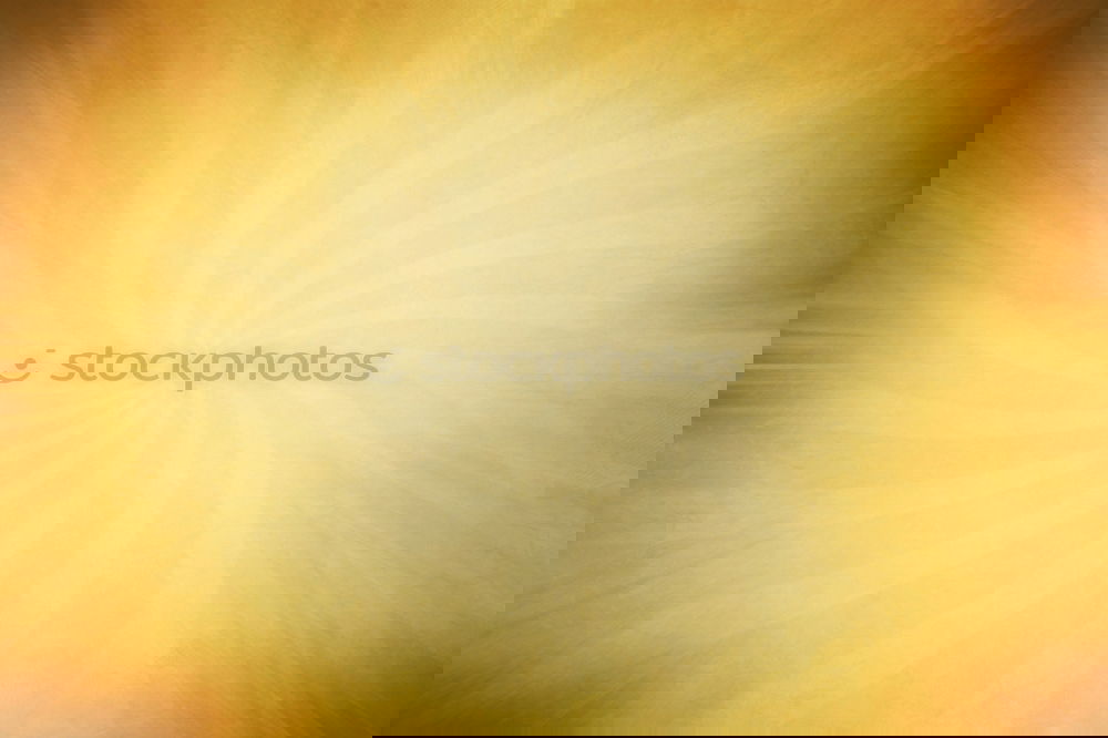 Similar – Image, Stock Photo  loading=