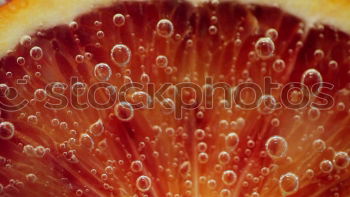 Similar – Image, Stock Photo fresh fruit Winter Ice