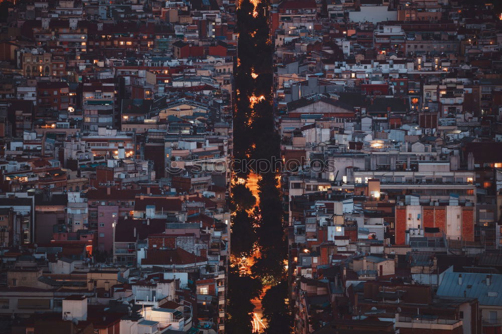 Similar – Image, Stock Photo favela lights Tourism Trip