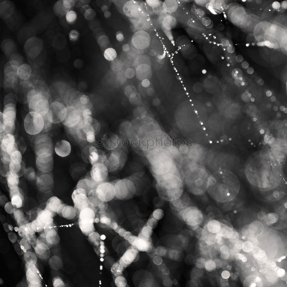 Similar – Image, Stock Photo Wet with rain street through the glass of the bus.