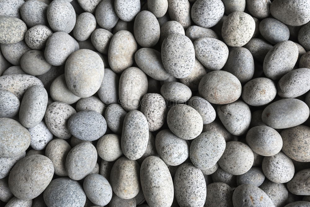 Similar – Image, Stock Photo stony thing Stony Beach