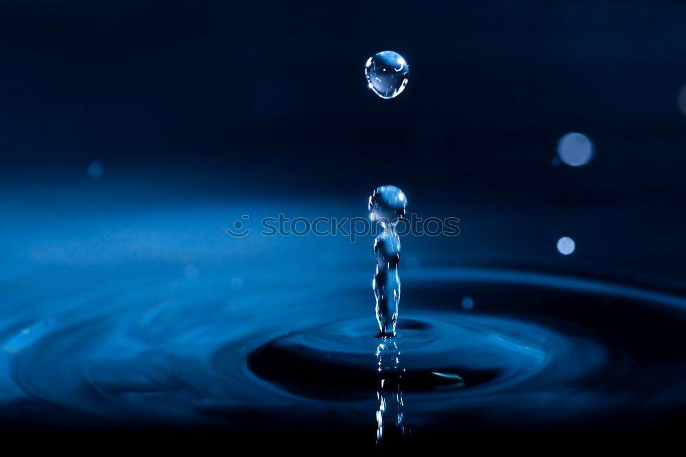 Similar – Image, Stock Photo dripping wet