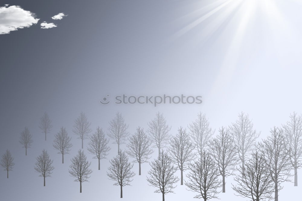 Similar – winter world Winter Himmel