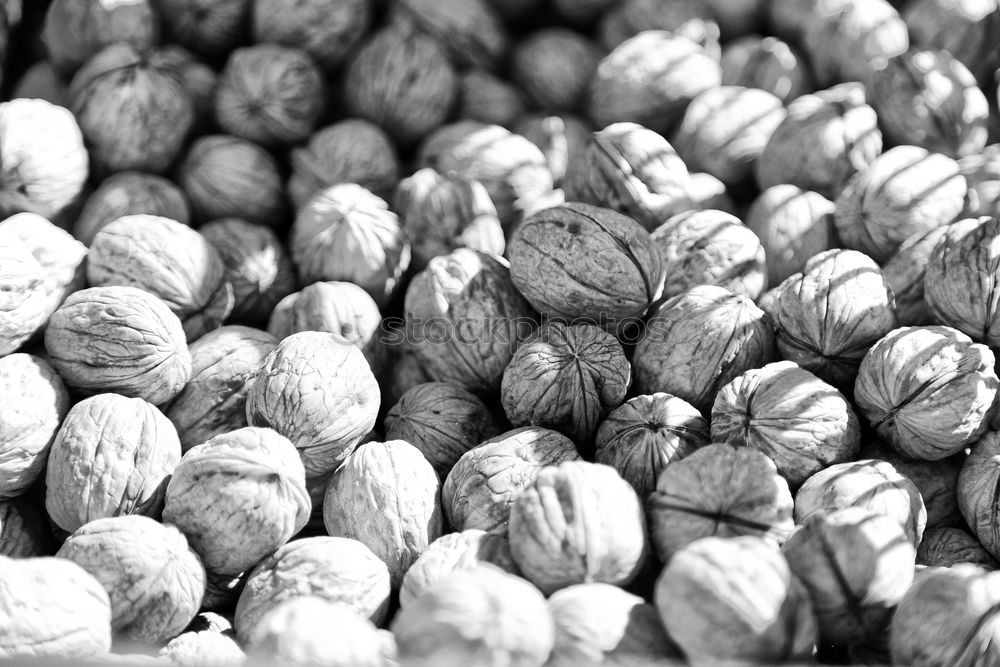 Image, Stock Photo stony thing Stony Beach