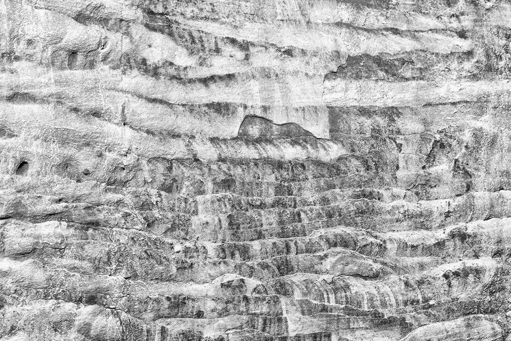 Similar – Image, Stock Photo CUT IN. Wood Old To dry up
