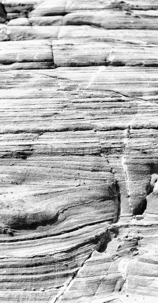 Similar – Image, Stock Photo CUT IN. Wood Old To dry up