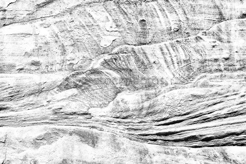 Similar – Image, Stock Photo CUT IN. Wood Old To dry up