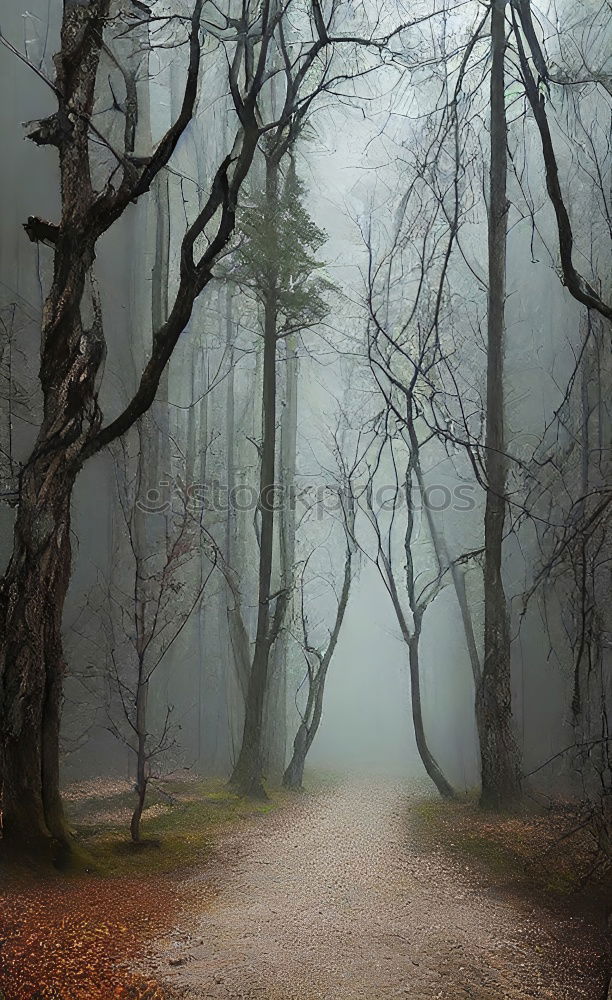 Similar – Image, Stock Photo Lost Forest Fog Tree