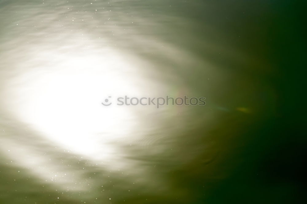 Similar – Image, Stock Photo dandelion flower Dandelion