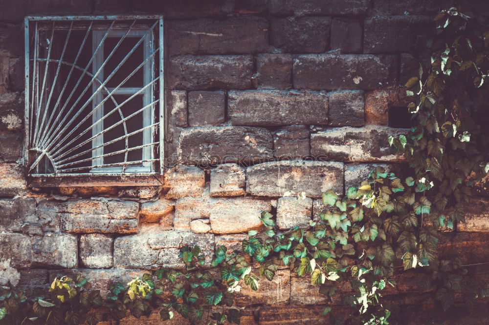 Similar – Classic courtyard in the center of Rome