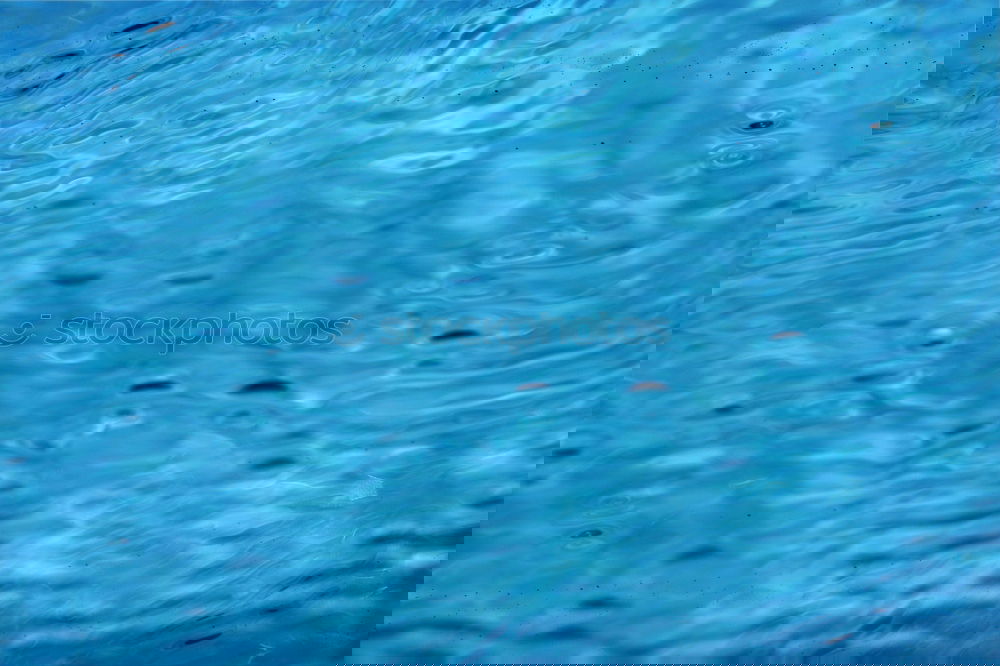 Similar – Foto Bild Plattenverschiebung