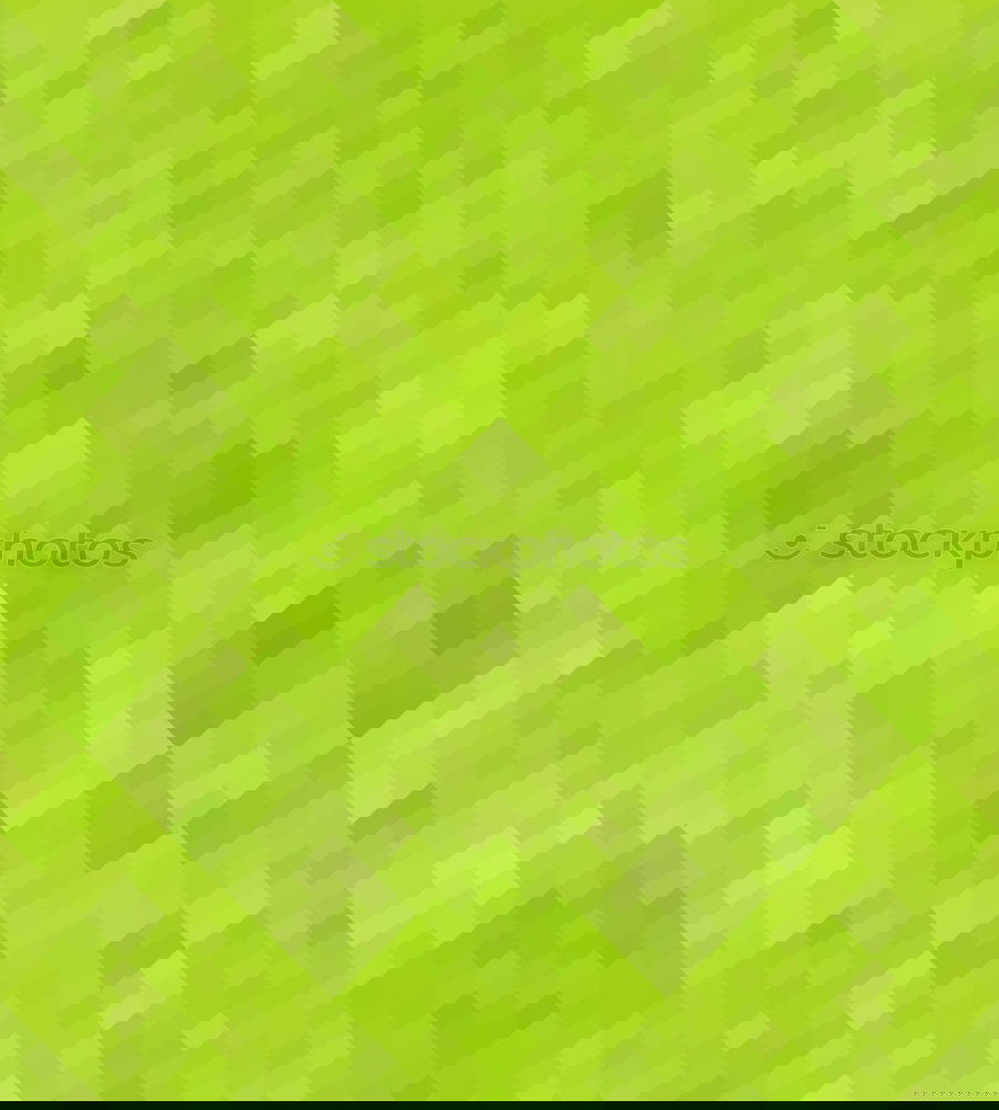 Similar – Image, Stock Photo Cactus pattern Design