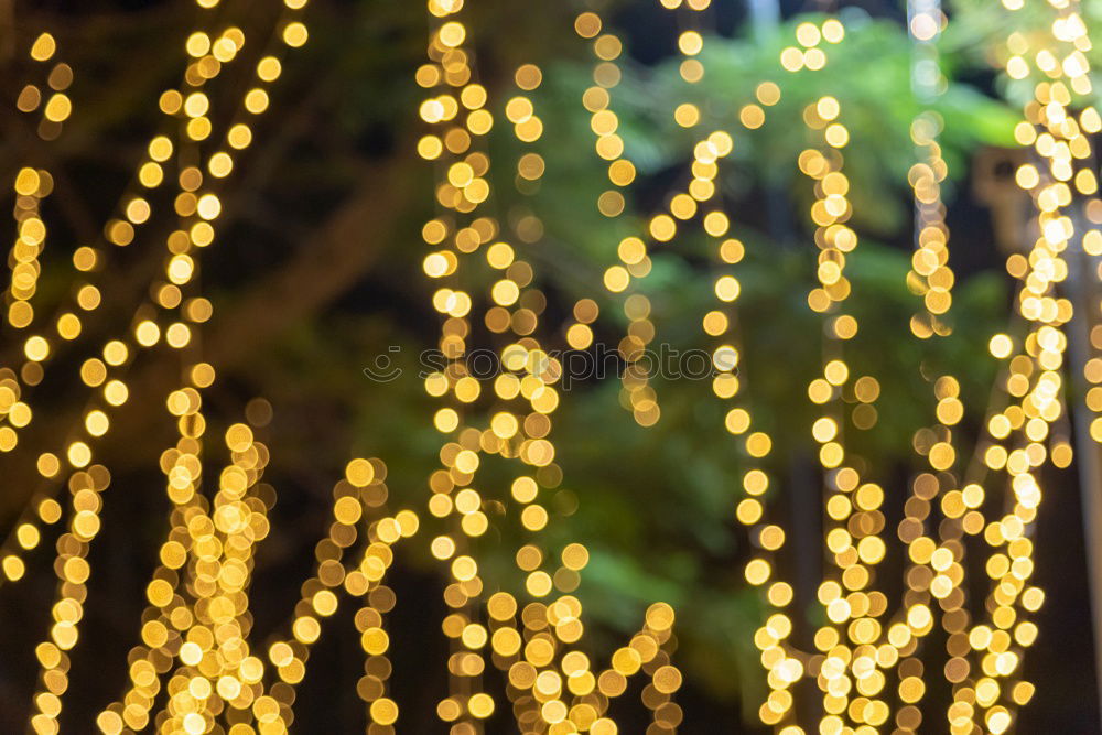 Similar – Image, Stock Photo decoration light christmas celebration hanging on tree, abstract image blurred defocused background