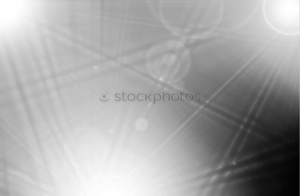 Similar – Image, Stock Photo Roxy in the light Woman