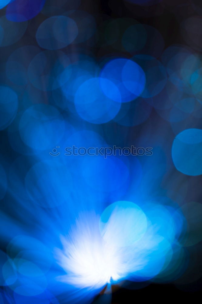 Similar – Image, Stock Photo paiperleck Blue Lavender
