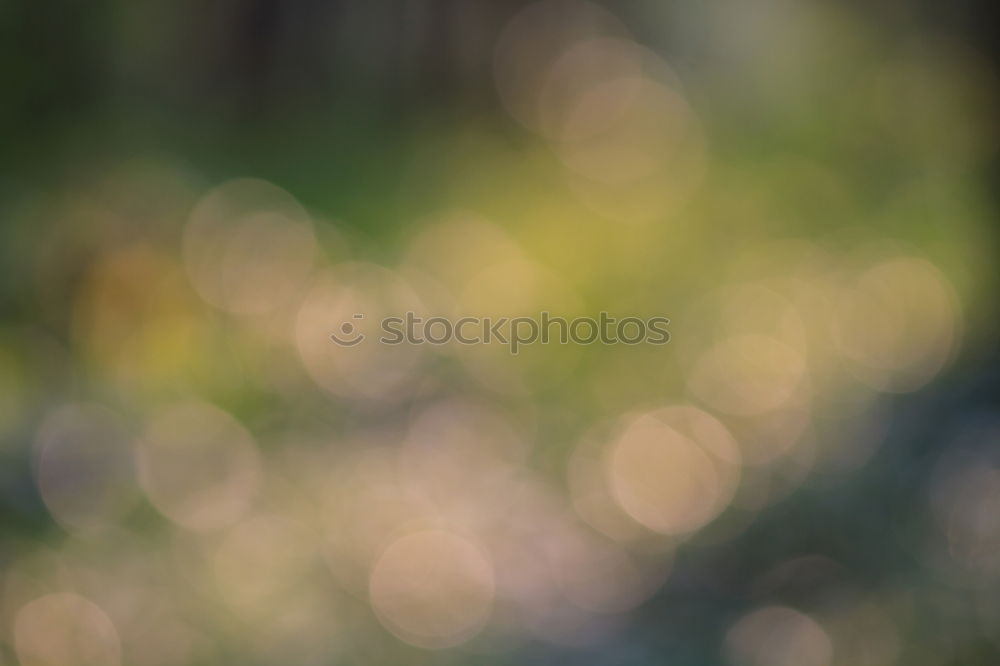 Similar – Blurred vegetation through a rainy bus window in Hong Kong