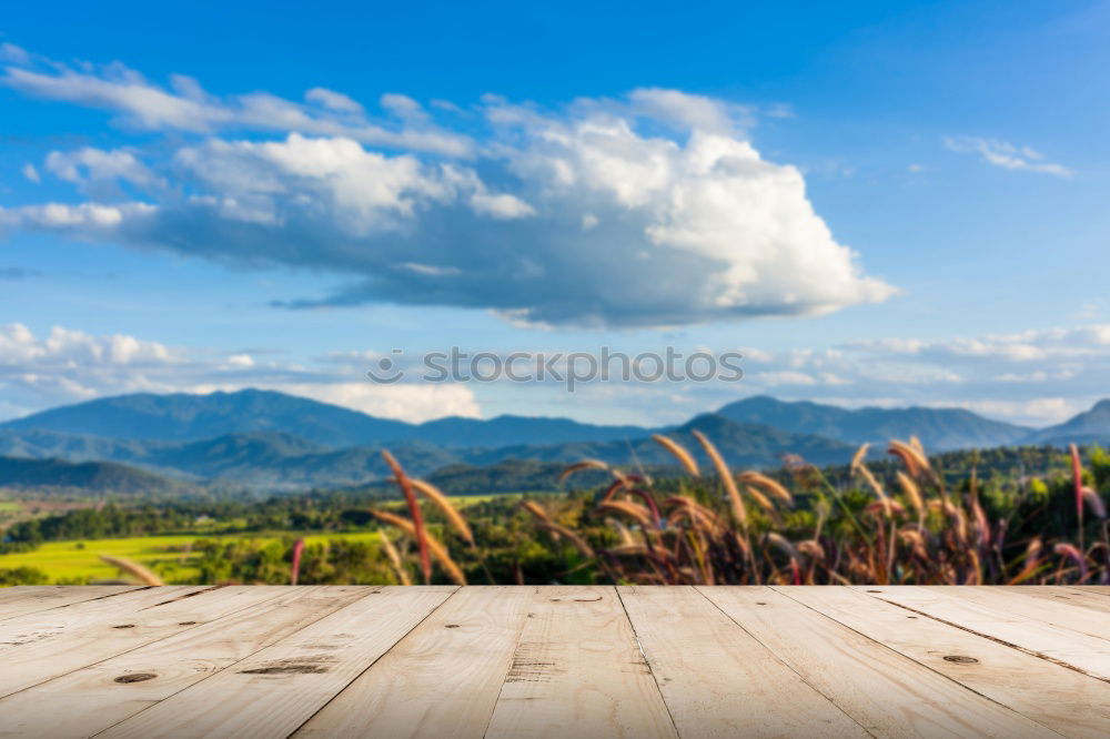 Similar – Image, Stock Photo crumpled surface, cold underneath