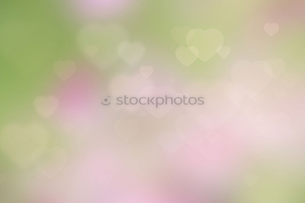 Similar – Image, Stock Photo White flowers on a blossom cherry tree with soft background