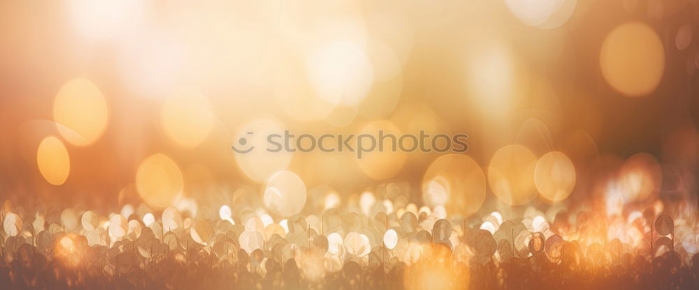 Similar – Image, Stock Photo flicker box Environment