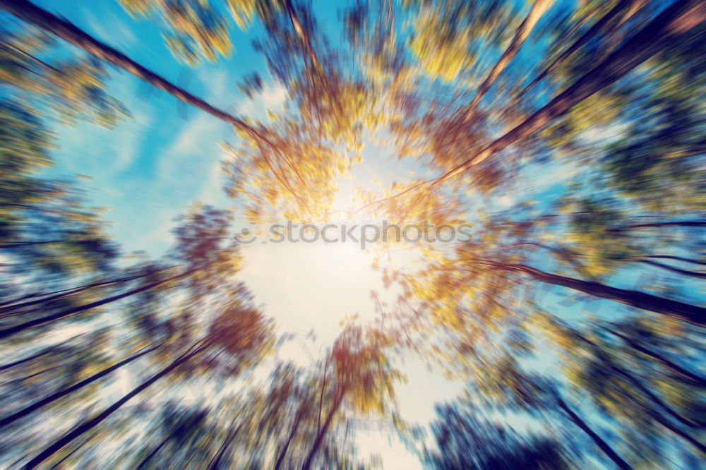 Similar – Image, Stock Photo sunset 2 o’clock in the afternoon