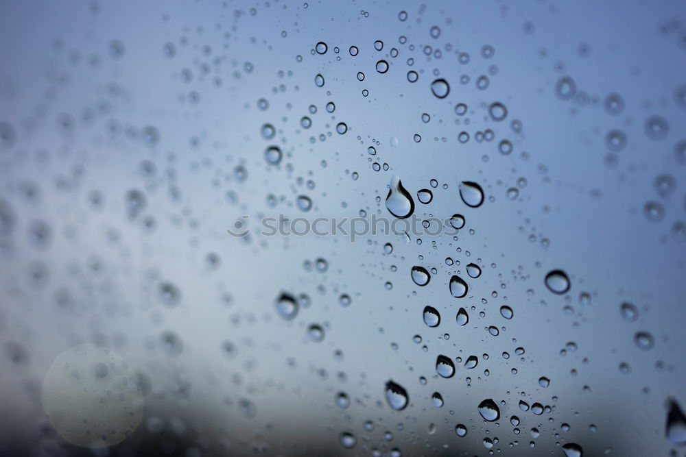 Similar – Foto Bild „You look like rain“