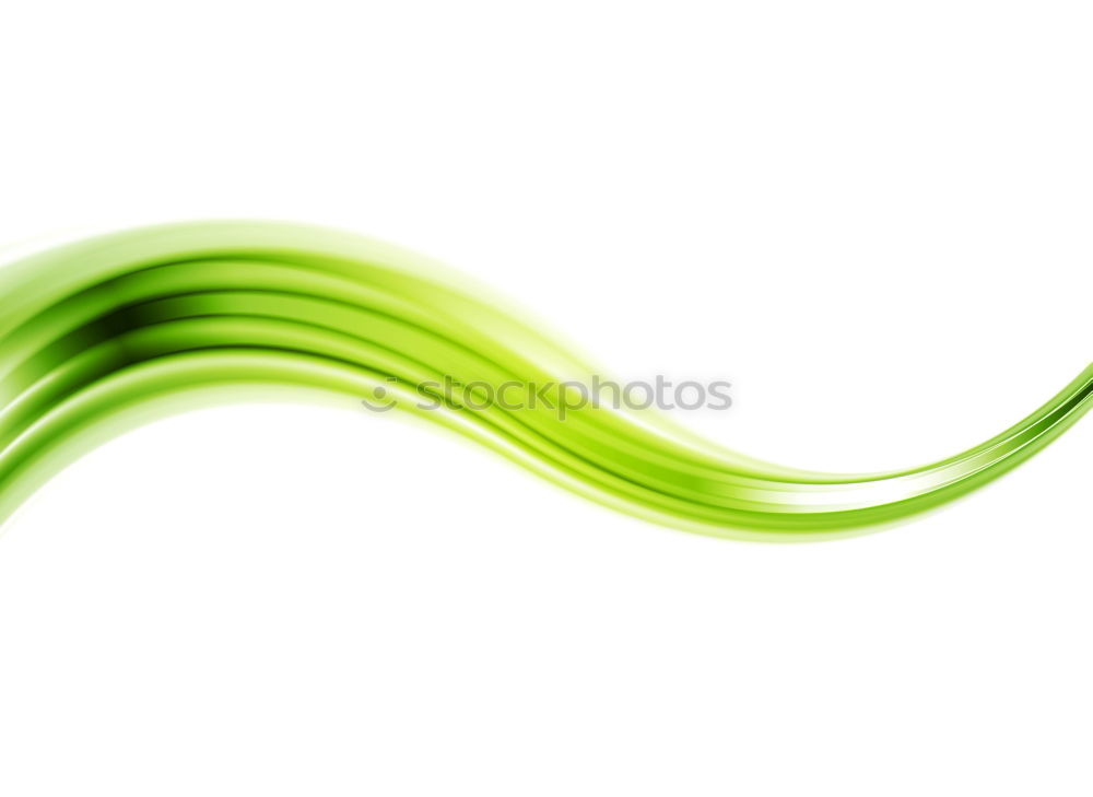 Similar – Image, Stock Photo bamboo Green Plant