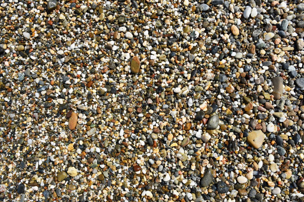 Similar – Image, Stock Photo beach boredom Beach Pebble