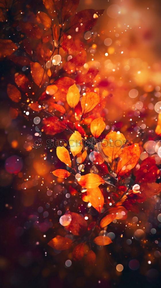 Similar – Image, Stock Photo autumn gold I Nature Plant