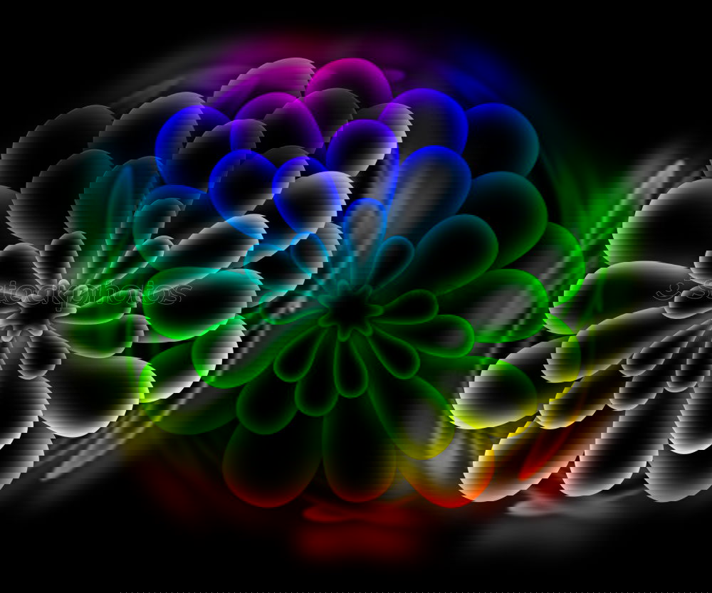 Similar – Foto Bild rote blume Blume grün