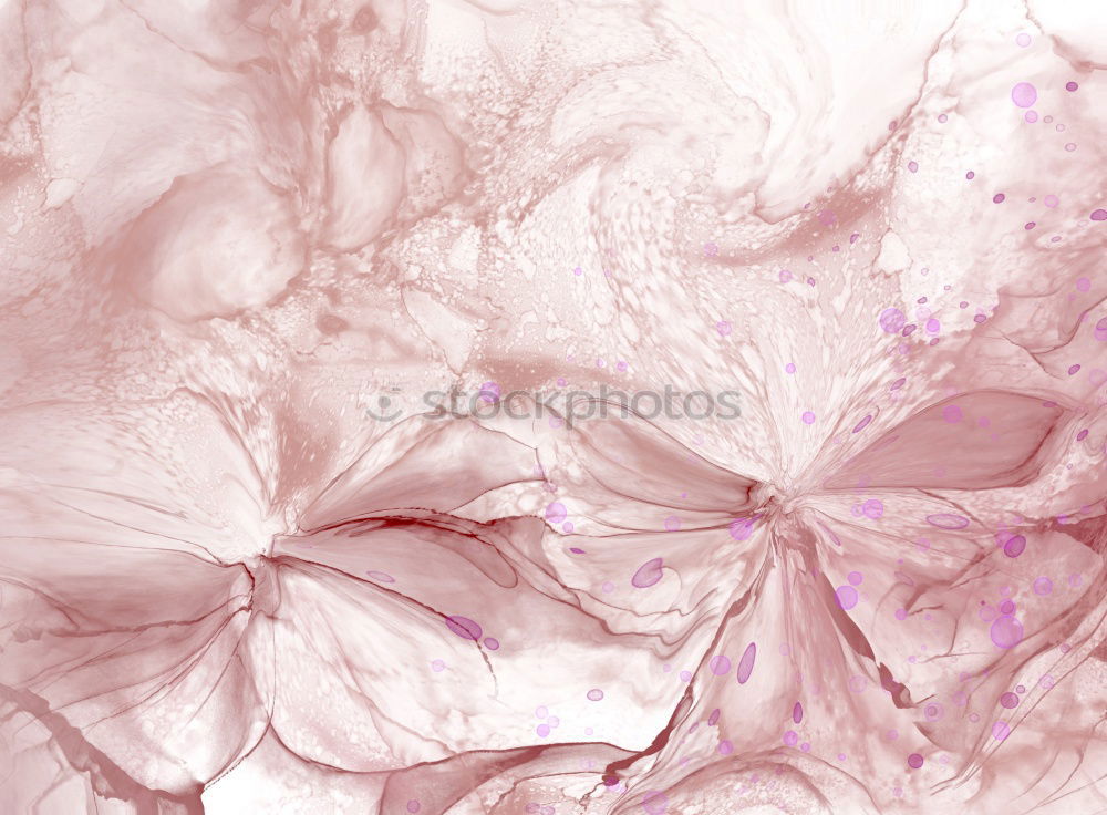 Similar – #AS# Pink Spring I Art