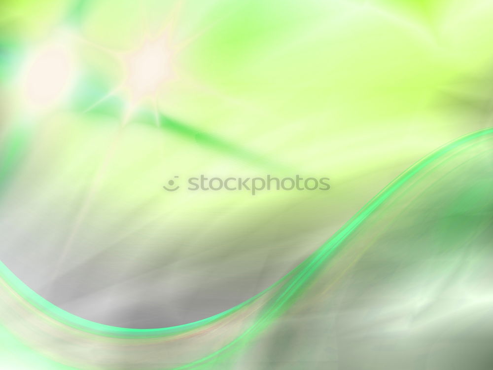 Similar – Spider web with light reflections