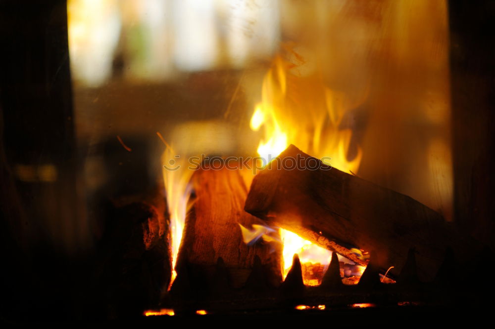 Image, Stock Photo wokkldiwog Food Asian Food