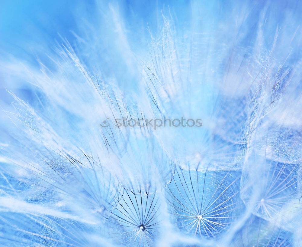 Similar – Image, Stock Photo forest grass