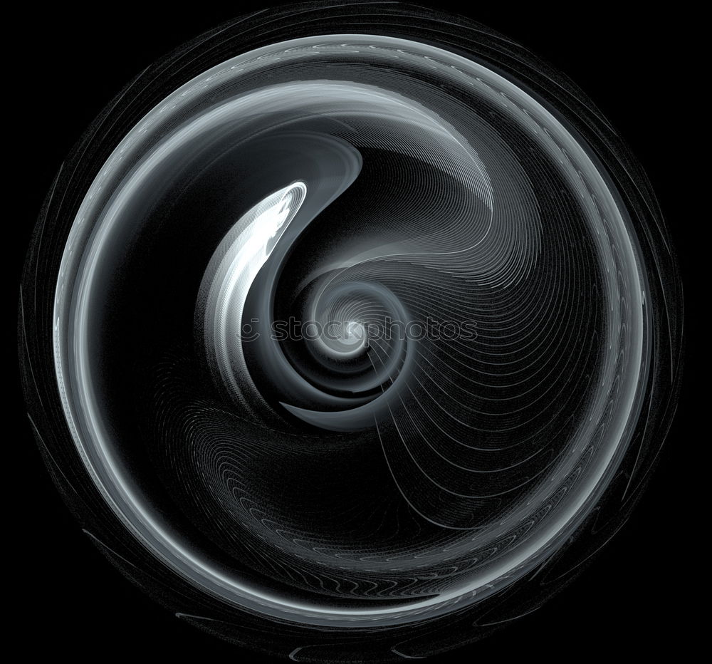 Similar – Image, Stock Photo Symmetry of the shell spiral