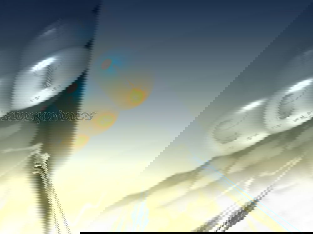 Image, Stock Photo starry glitter Elegant