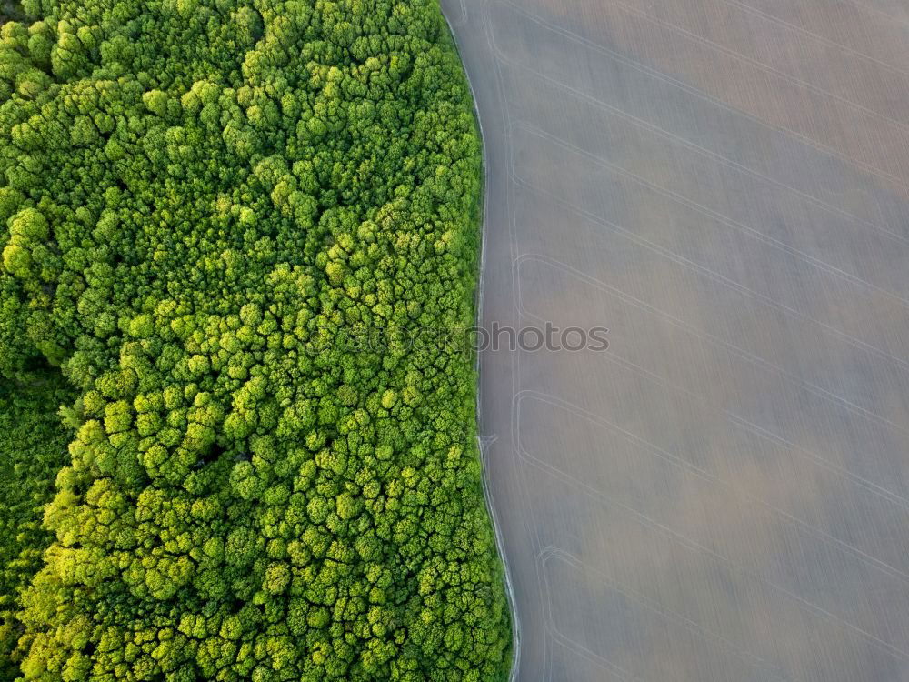 Similar – Green Mile. Natur Frühling