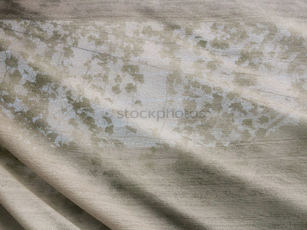 Image, Stock Photo and in front hangs the geranium box