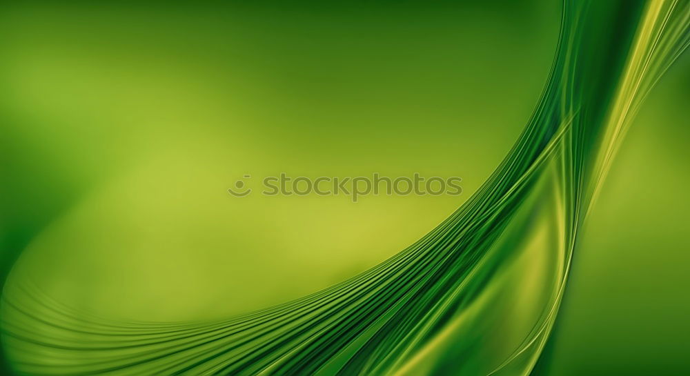 Similar – Image, Stock Photo snail Environment Animal