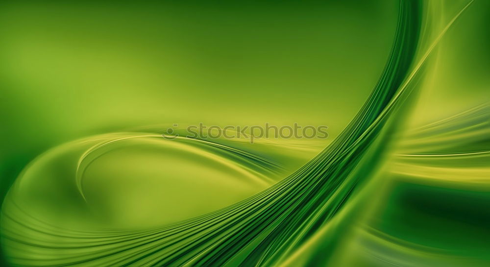 Similar – Image, Stock Photo Raindrops on a green leaf