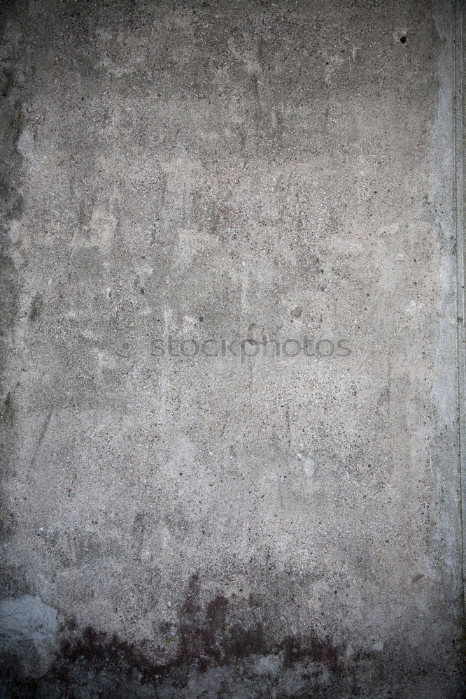 Similar – Image, Stock Photo coverage Wall (barrier)