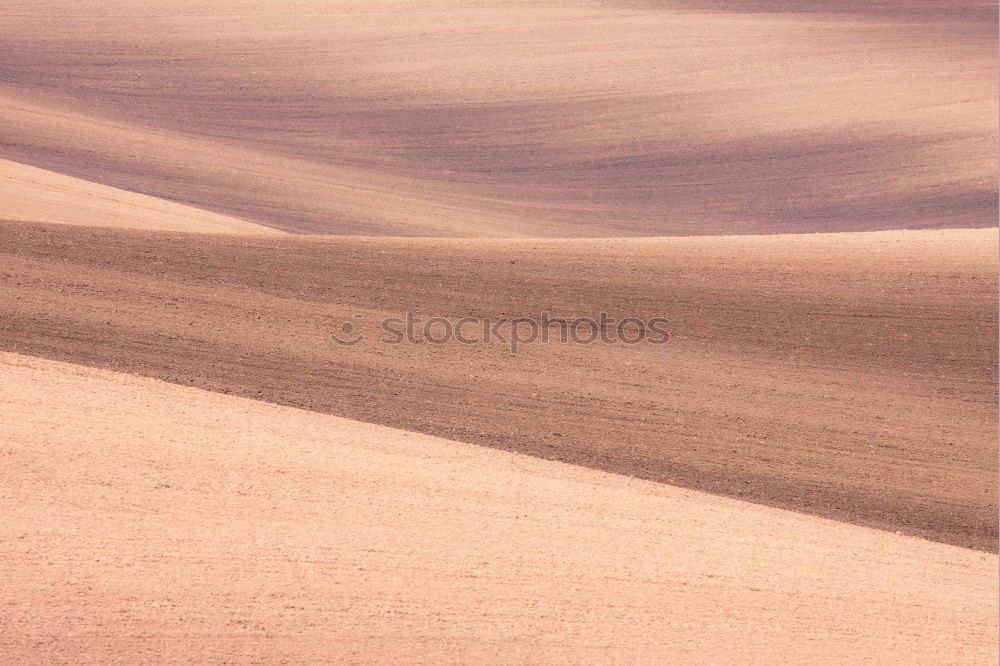 Similar – Desert (2/10) Sand Dune