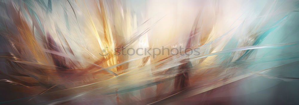 Similar – Image, Stock Photo Autumn grass with colours